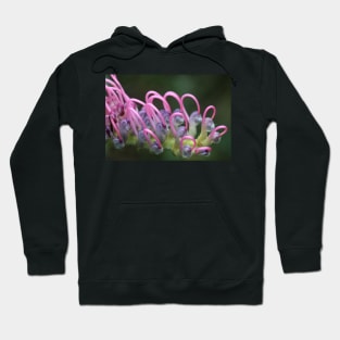 Grevillea macro Hoodie